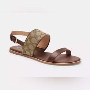 COACH Harley Sandal